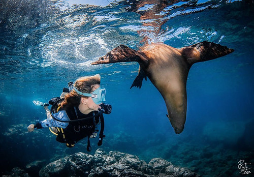 Buceo_014