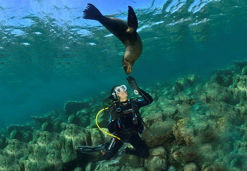 Buceo_008