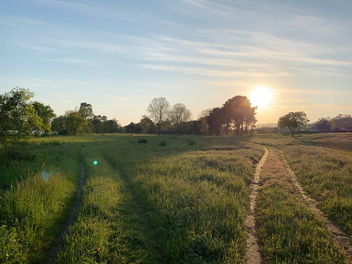 Two paths diverging in a sunlit meadow at sunset near Eiras, O Rosal, Galicia, Spain, March 2020 by sergei.gussev, A sunlit meadow near Eiras, O Rosal, Galicia, Spain, shows two paths diverging at sunset in March 20
