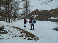 Schneeweekend Pelican-Chapter