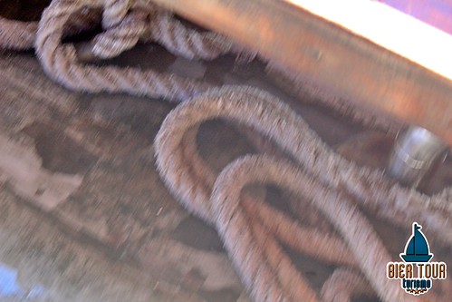 batch_IMG_0622