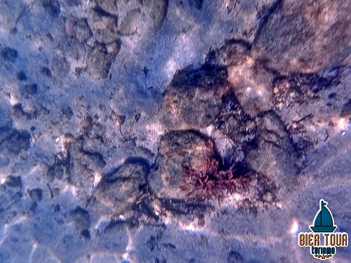 batch_GOPR5266