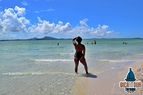 batch_DSC_0270
