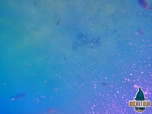 batch_GOPR5943