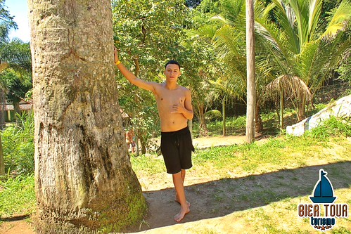 batch_IMG_5925