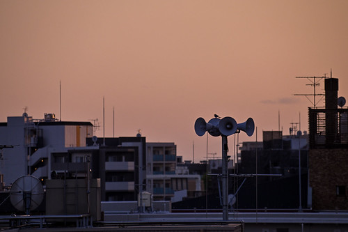 Sunset glow : snap