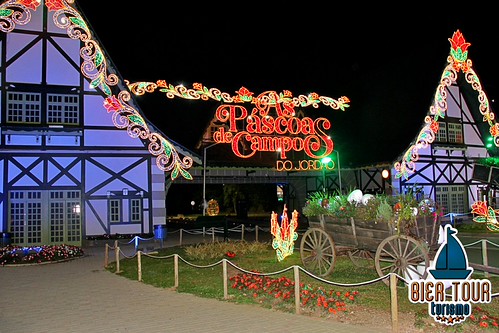batch_IMG_5961