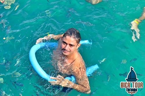 batch_IMG_1517