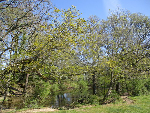 Photos - Balcombe Circular via Wakehurst Walk - SWC