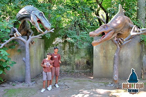 batch_IMG_5997