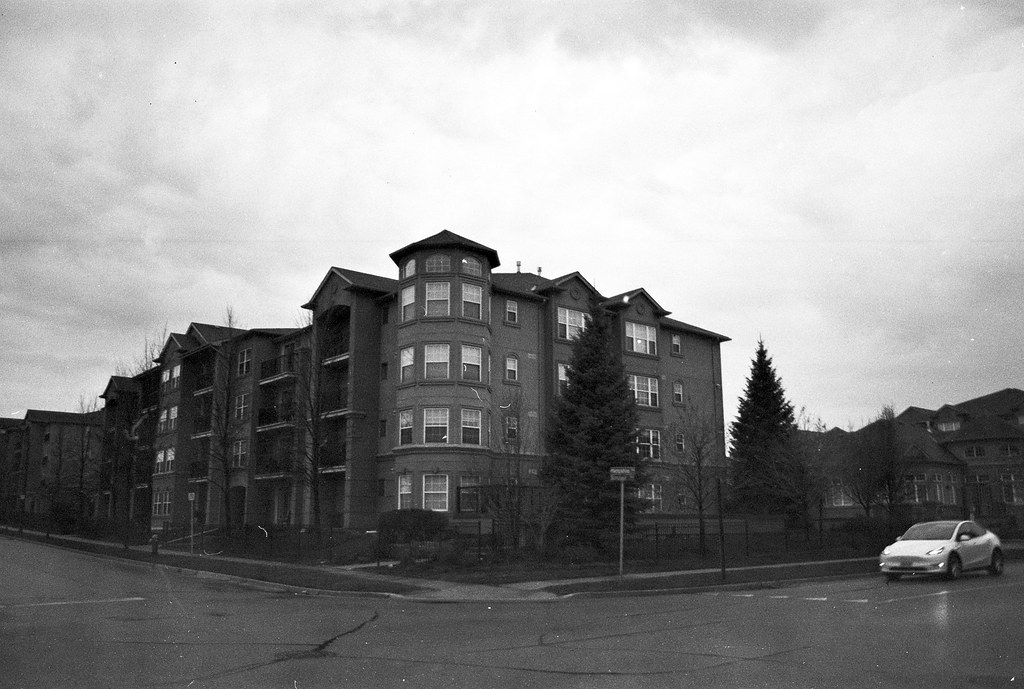 Classic Film Review Blog - Kodak Direct Positive Panchromatic 5246 - Roll No. 4 (Flic Film Elementary Developer)