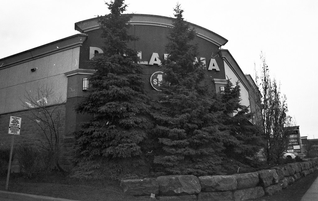 Classic Film Review Blog - Kodak Direct Positive Panchromatic 5246 - Roll No. 4 (Flic Film Elementary Developer)