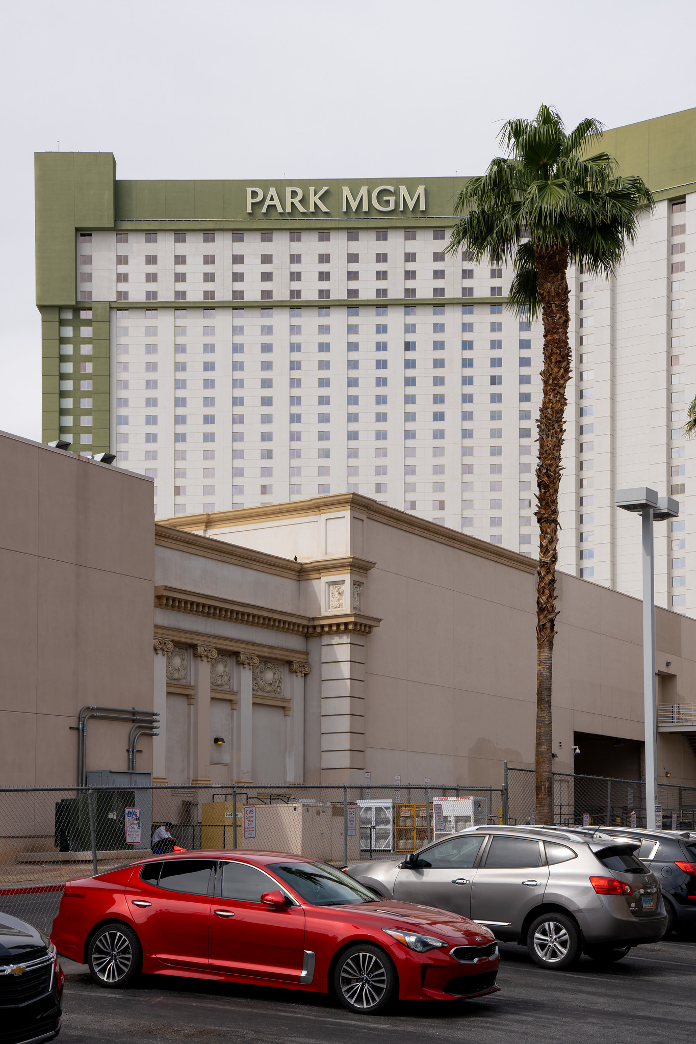 Monte Carlo Remnants