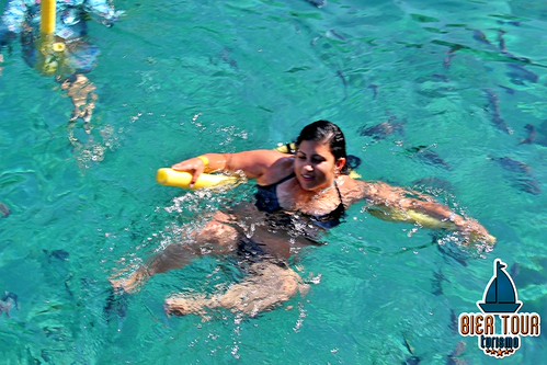 batch_IMG_6578