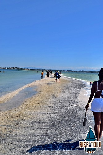 batch_DSC_0888