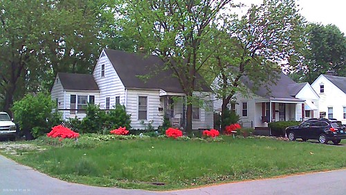 spring progression | by shelleyhicklin