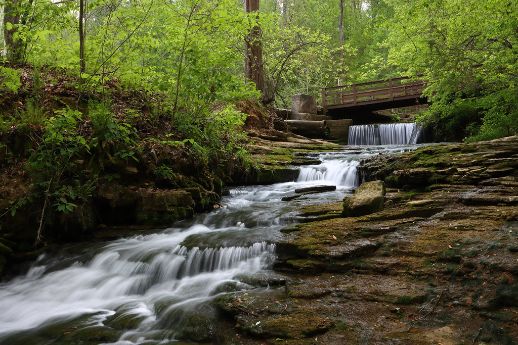 Saunders Spring | Saunders Spring Nature Preserve Radcliffe,… | Flickr