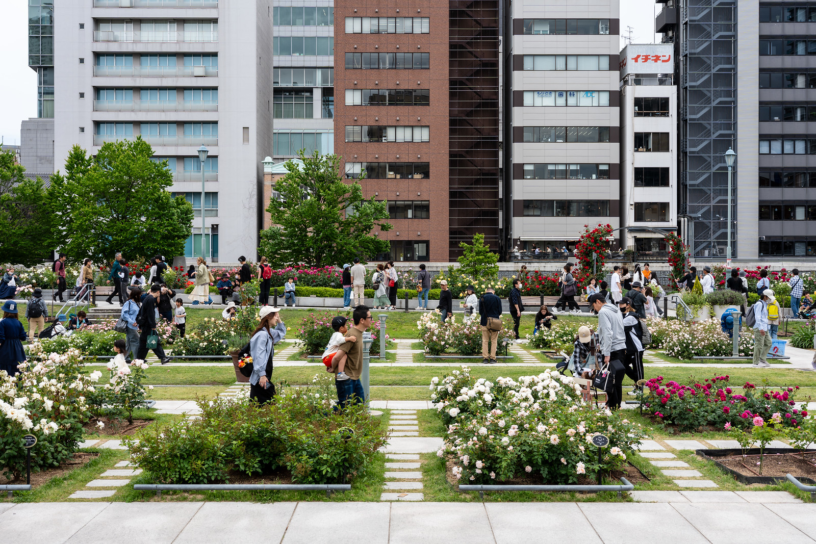 Nakanoshima Rose Garden