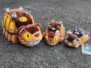Catbus