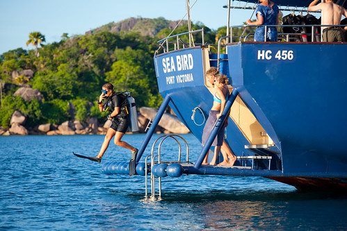 Diving area on Sea Bird