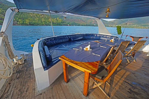 Sea Star Back deck