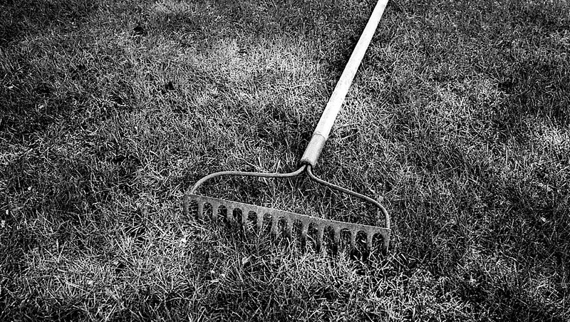 Original Rake Photo Rake | Canon F1 Classic (original model), Canon FD 35mm 2.8,… | Flickr