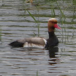 P1220246