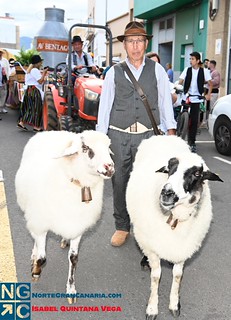 Romeria de Ntra Sra de Fatima El Calero TELDE (28)