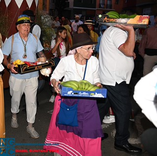 Romeria de Ntra Sra de Fatima El Calero TELDE (310)