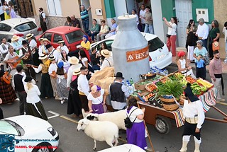 Romeria de Ntra Sra de Fatima El Calero TELDE (63)