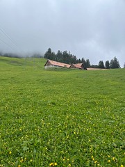 2026.05.14 Auffahrts-Zigüüner Buchserberg
