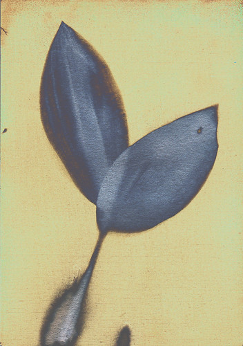 Maiglöckchenschnabel — Lily-of-the-Valley Beak — Ландыш-клюв | by hutschinetto