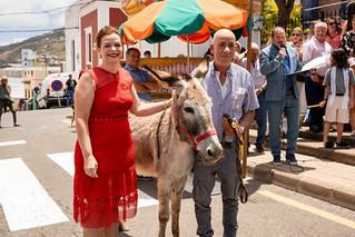15052026_festividad_de_san_isidro_labrador_2026_183