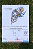 WhatsApp Image 2025-06-15 at 14.35.24_3a96397e - Rugby-Turnier f&uuml;r Kinder der Altersklassen U8, U10 und U12 in Aachen