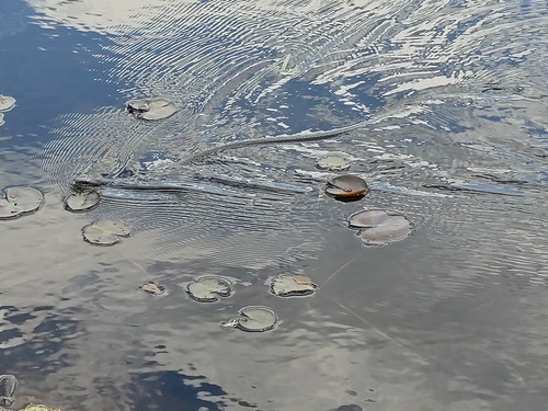 2026-05-17 13.03.27