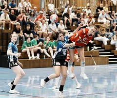 SPL 2 Handball Nordwest - LK Zug