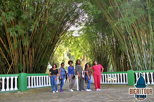 batch_IMG_7630