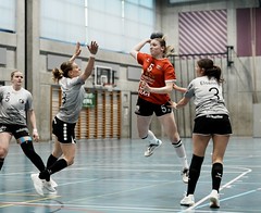 SPL 2 Handball Nordwest - Rotweiss Thun