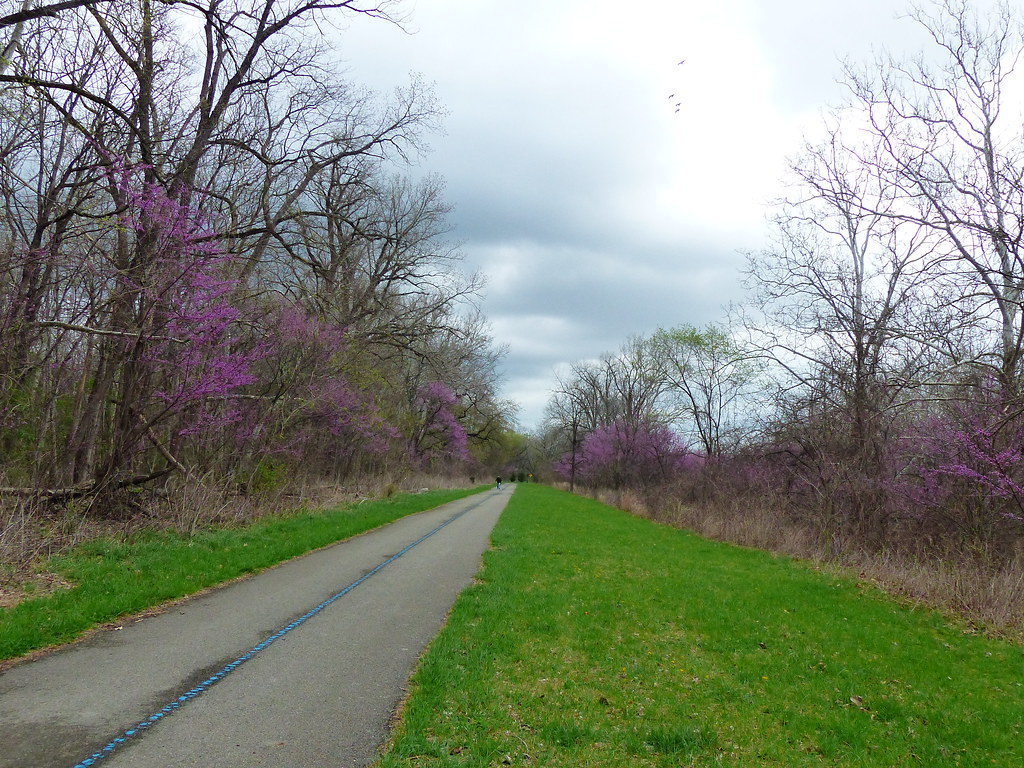 Nature Photos April 2026