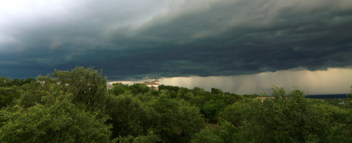 Texas Hill Country Rain