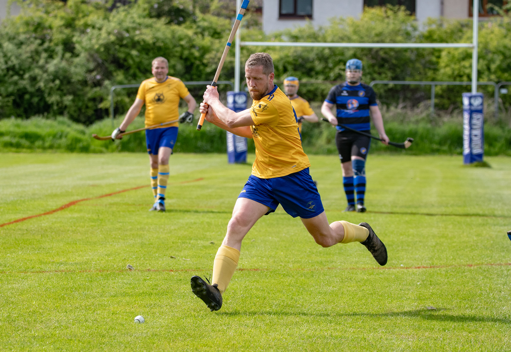 Tayforth v Lewis 2026 - 041