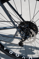*SURLY* straggler
