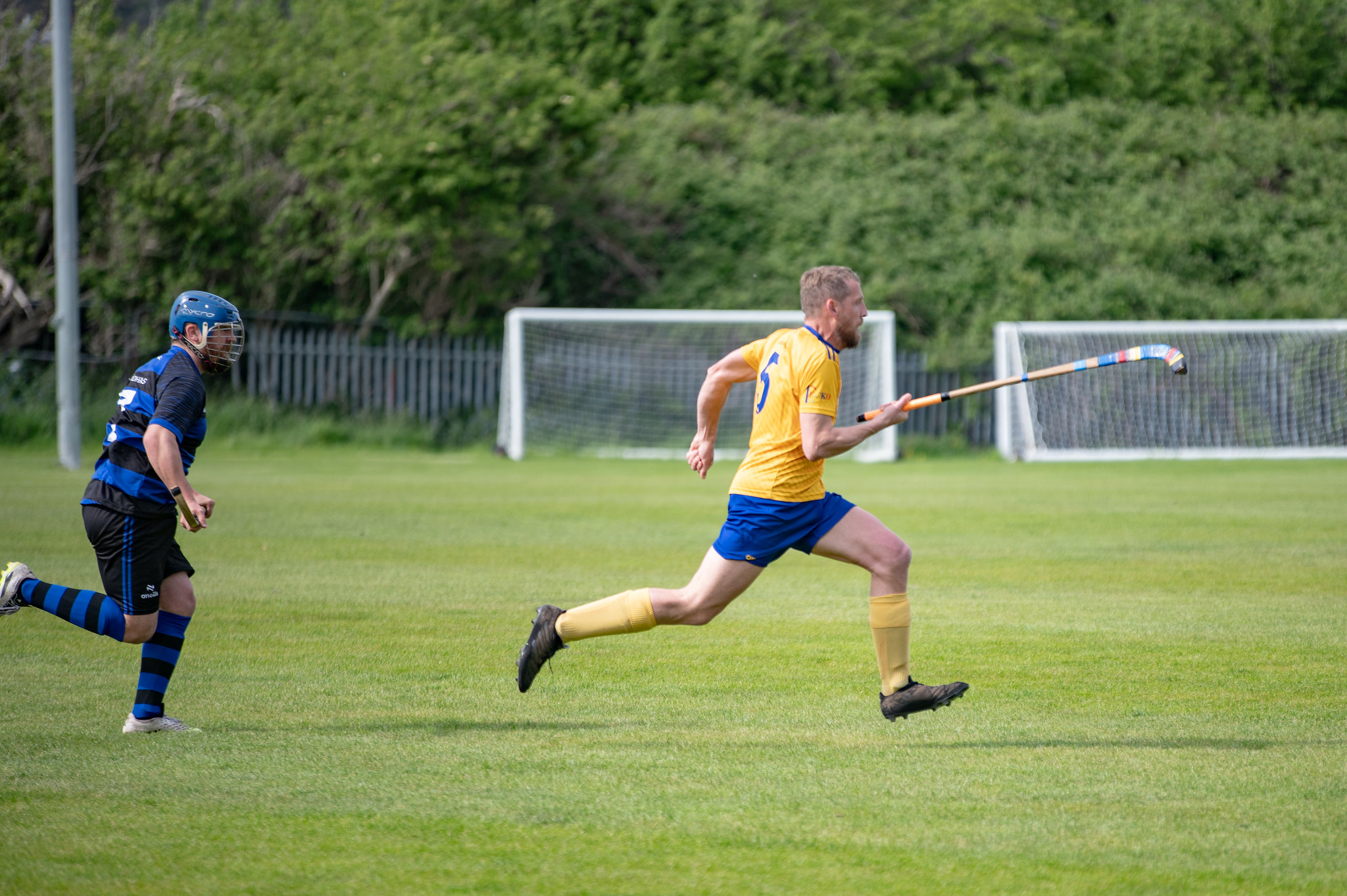 Tayforth v Lewis 2026 - 012