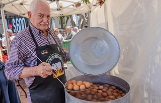 IV Feria Regional de la Sidra (29)