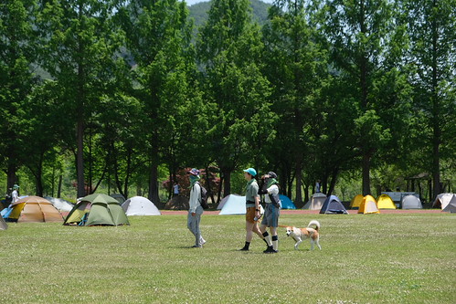 DSCF9659