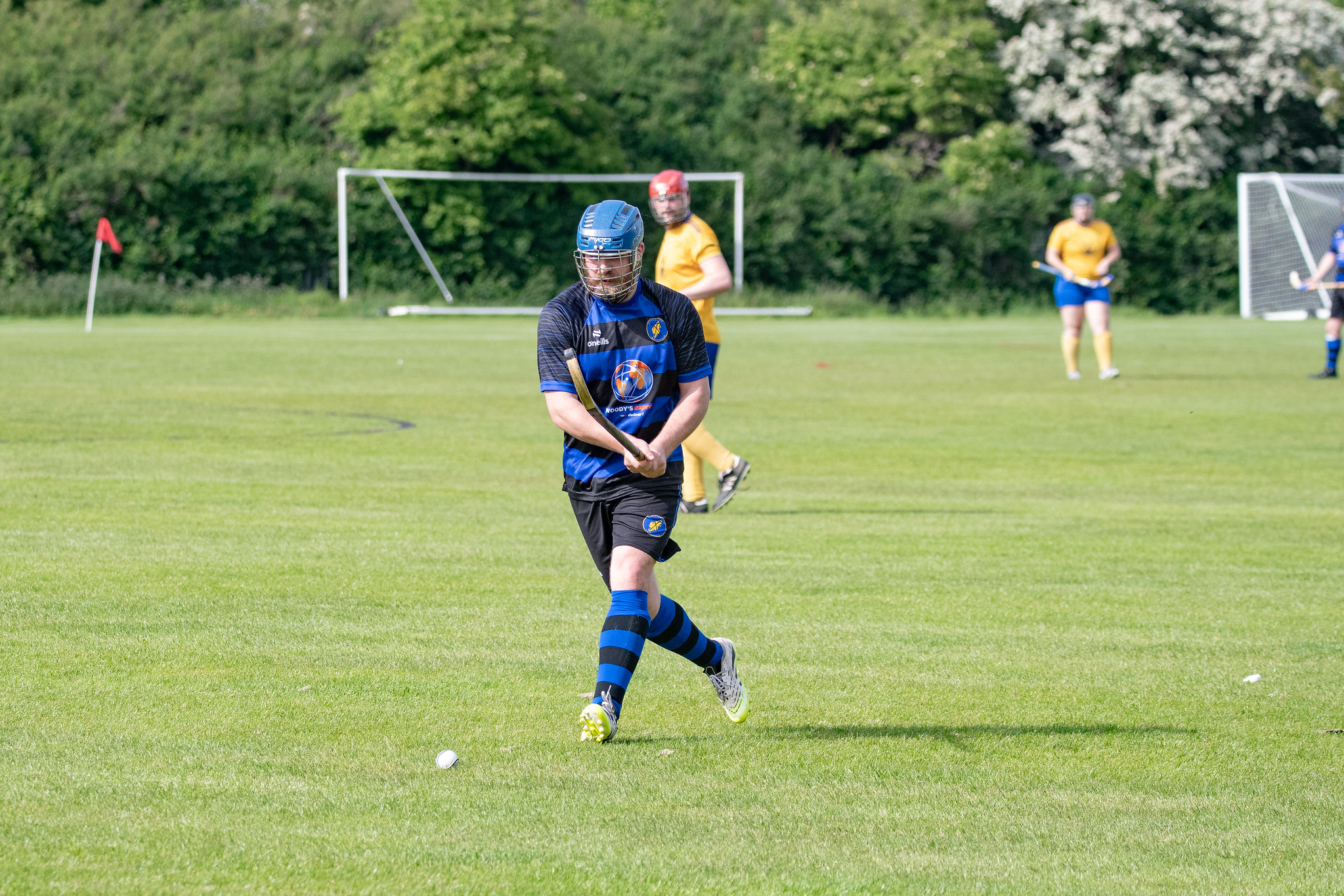 Tayforth v Lewis 2026 - 096