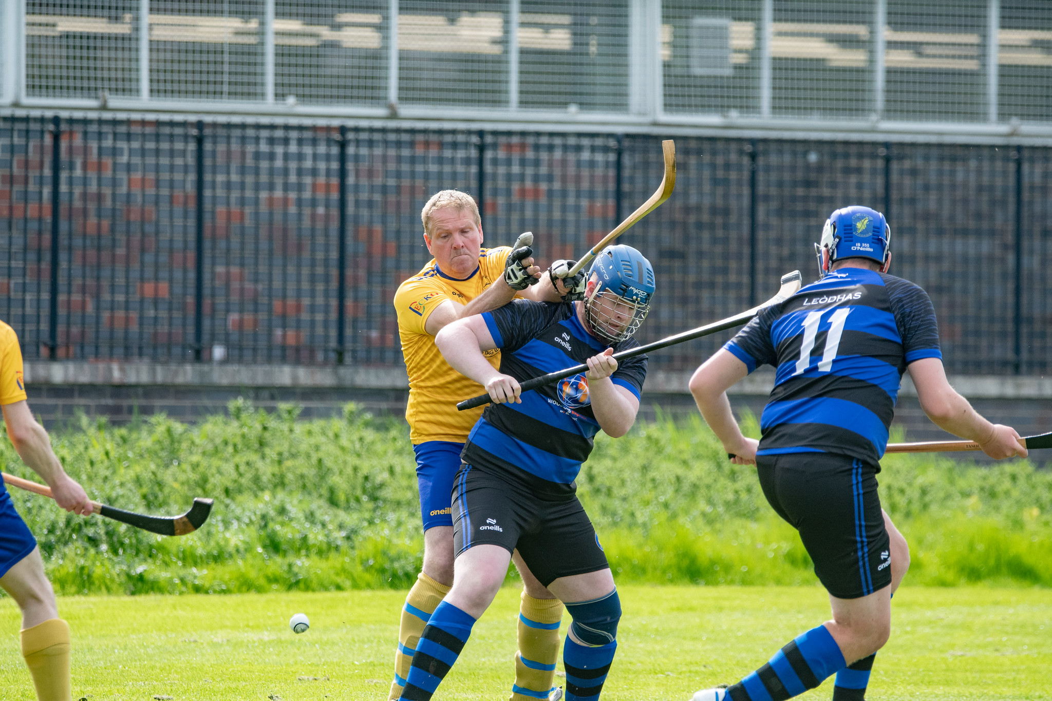 Tayforth v Lewis 2026 - 022