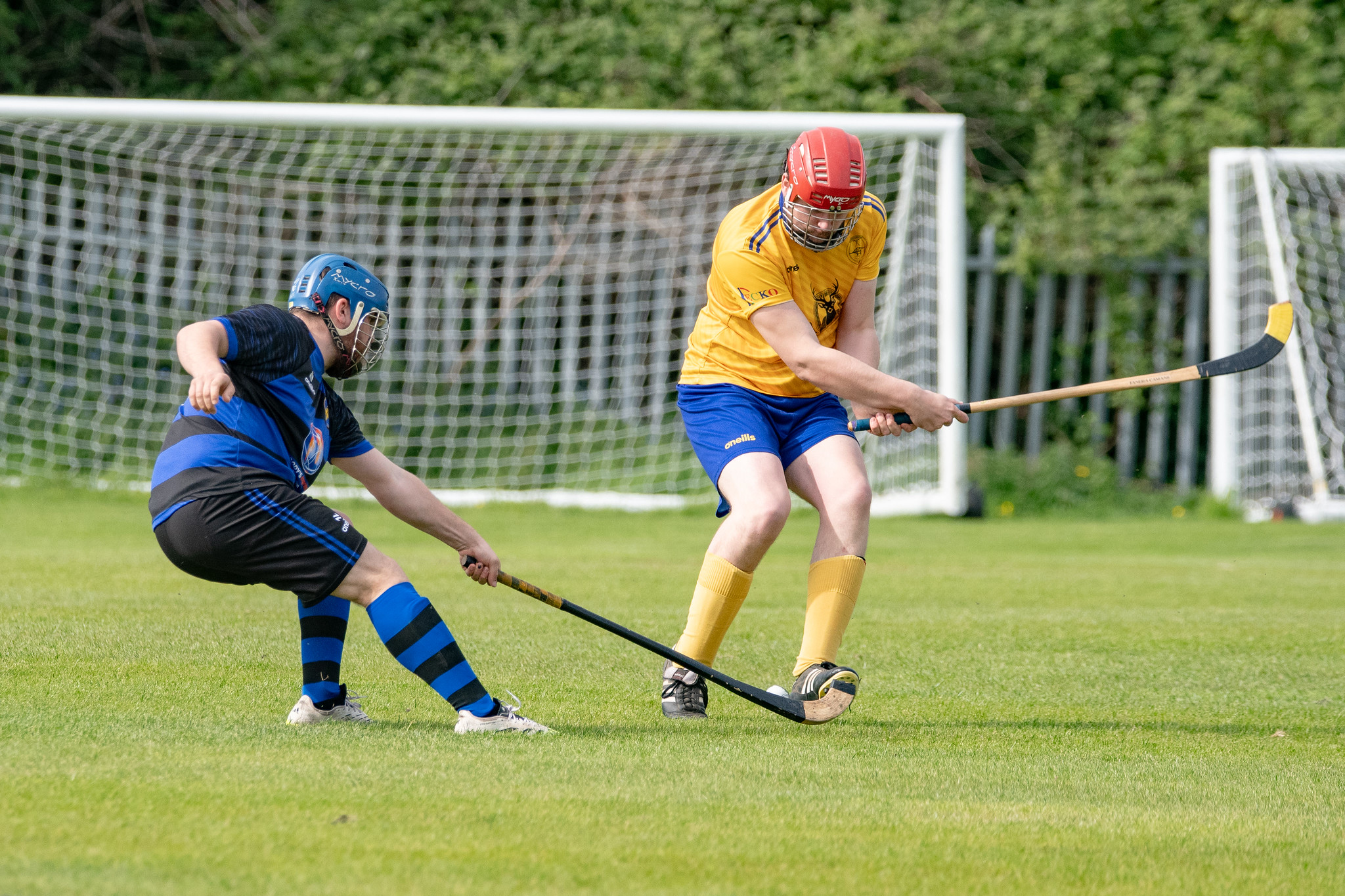 Tayforth v Lewis 2026 - 013