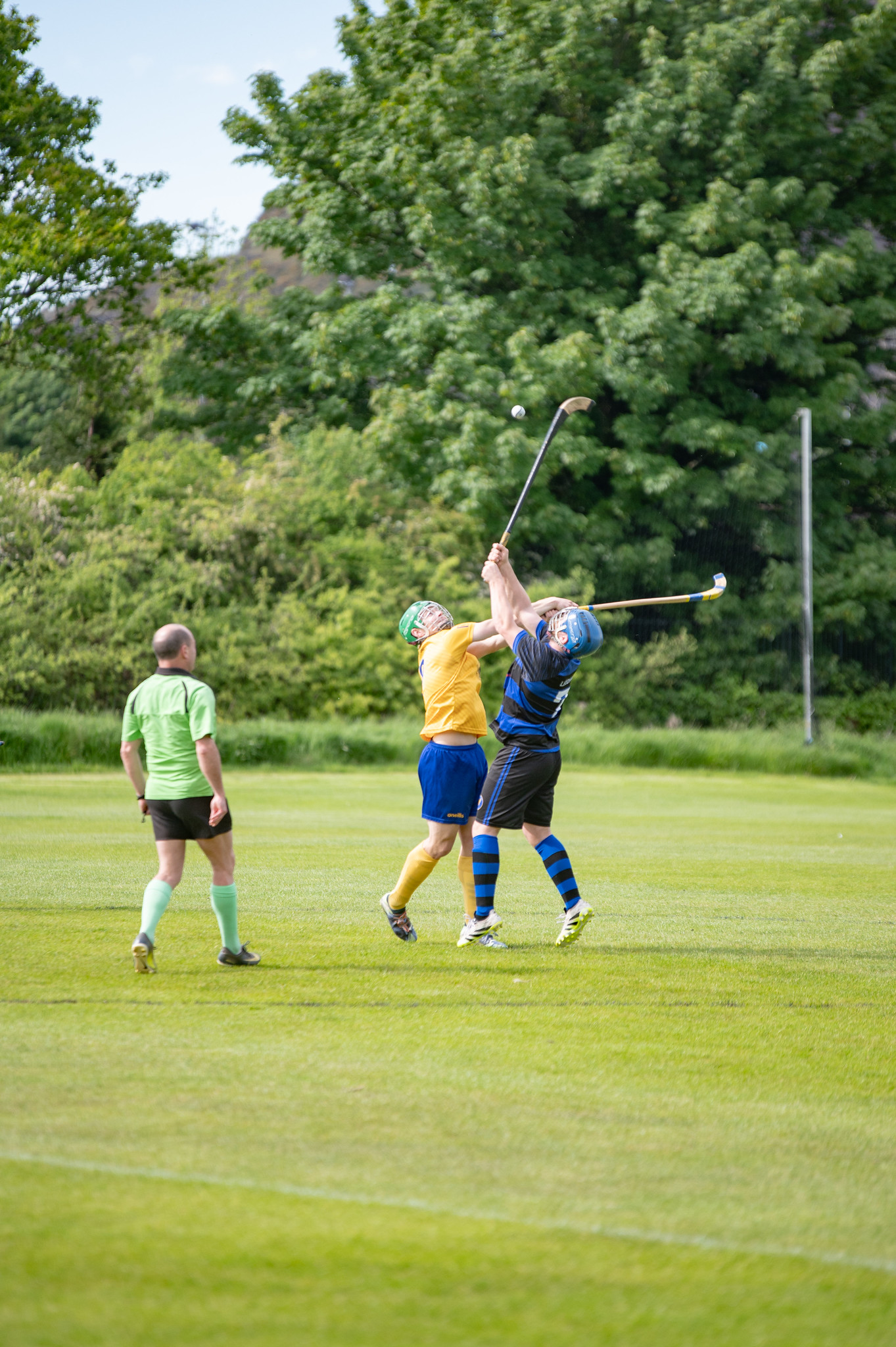 Tayforth v Lewis 2026 - 011