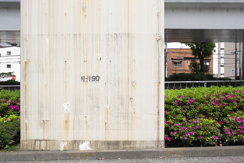 Photo taken with the Yongnuo YN 35 mm f/2.0 by tetsuo5 – Nakamura/Yokohama#47